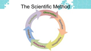 The Scientific Method
 