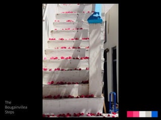 The
Bougainvillea
Steps
 