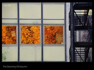 The Geometry Of Autumn
 