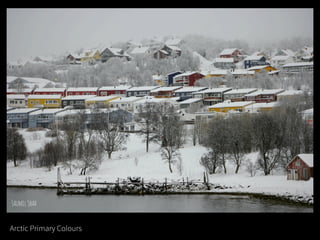 Arctic Primary Colours
 