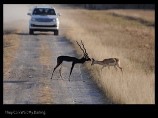 They Can Wait My Darling
 