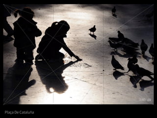 Plaça De Cataluña
 