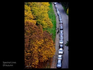 Spectral Lines
Of Autumn
 