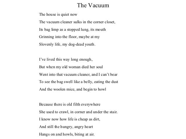 The Vacuum Howard Nemerov Analysis Aulad Org