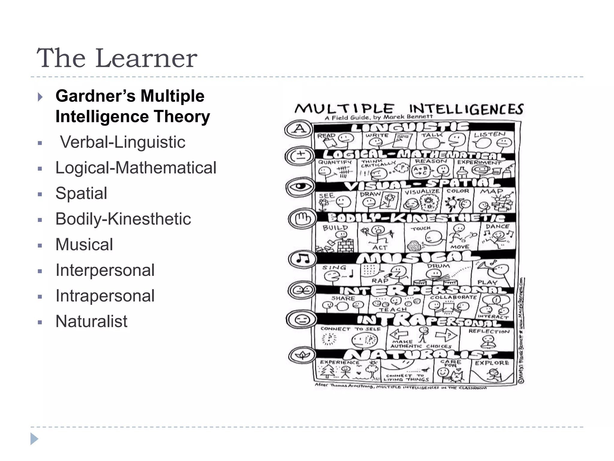 The Learner
 Gardner’s Multiple
Intelligence Theory
 Verbal-Linguistic
 Logical-Mathematical
 Spatial
 Bodily-Kinesthetic
 Musical
 Interpersonal
 Intrapersonal
 Naturalist
 
