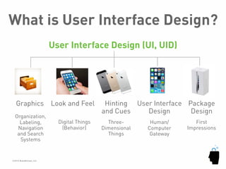 The Elements of User Experience | PDF