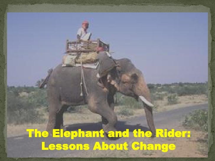 The Elephant And The Rider Lessons About Change