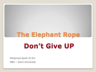 The Elephant Rope
 