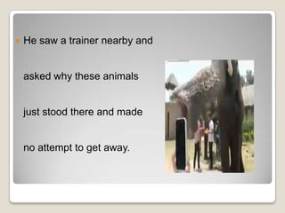 The Elephant Rope | PPTX