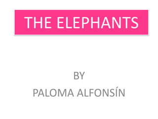 THE ELEPHANTS
BY
PALOMA ALFONSÍN
 