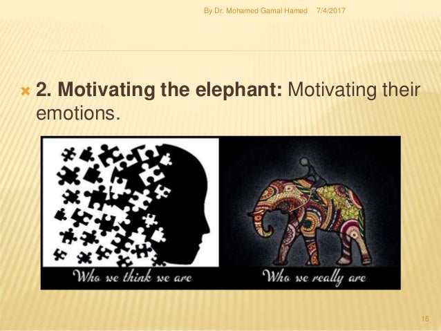 The Elephant The Rider And The Path How To Make Change Stick The Elephant The Rider And The Path How To Make Change Stick
