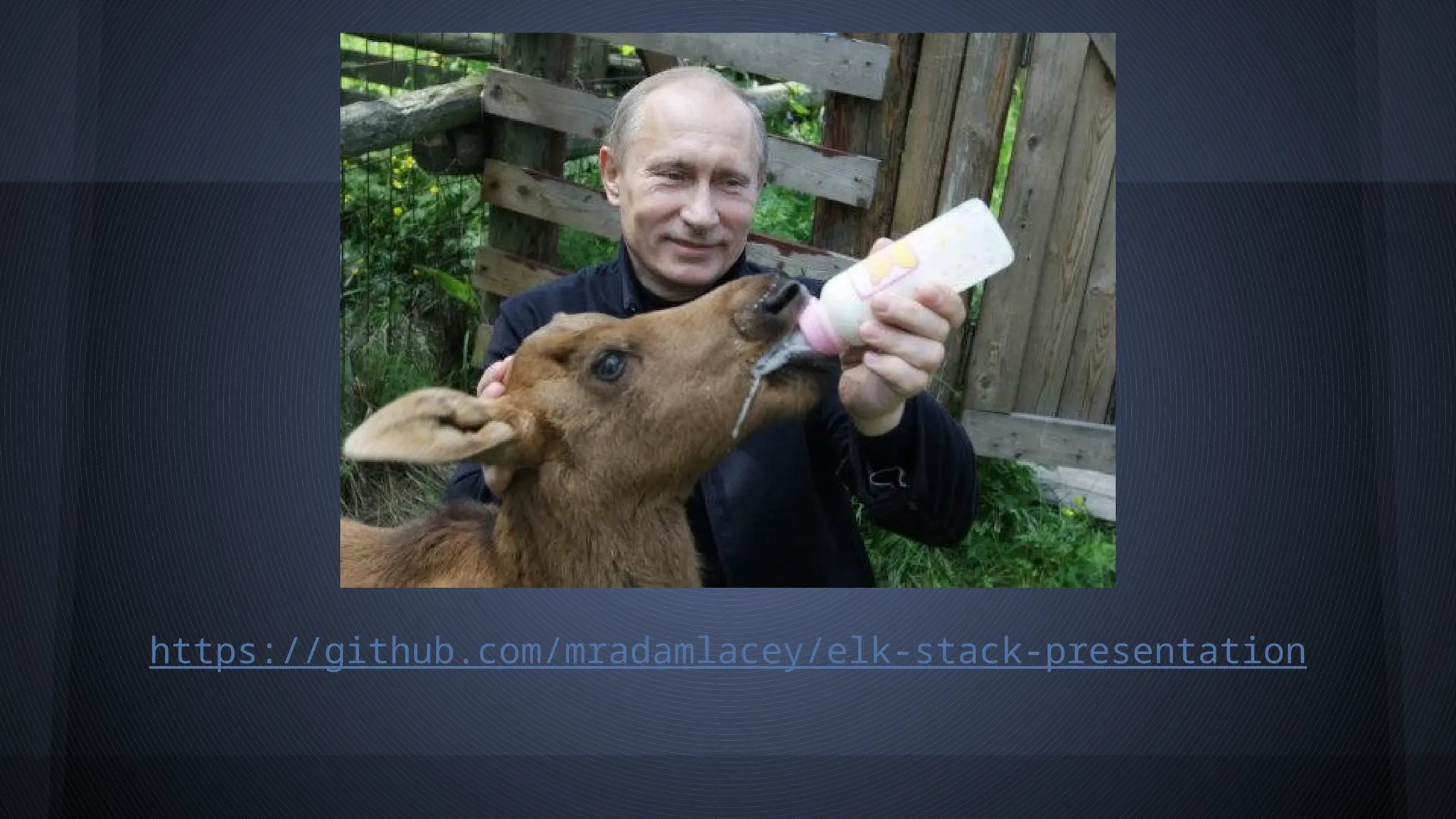 https://github.com/mradamlacey/elk-stack-presentation
 