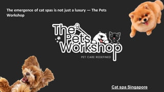 The emergence of cat spas is not just a luxury — The Pets
Workshop
Cat spa Singapore
 