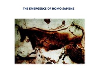 THE EMERGENCE OF HOMO SAPIENS  