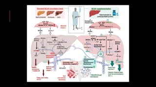 The Emerging Role of Branched-Chain Amino Acids in-1.pptx