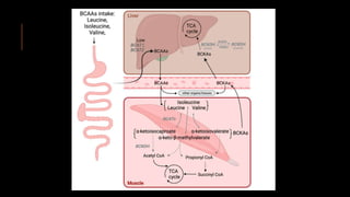 The Emerging Role of Branched-Chain Amino Acids in-1.pptx
