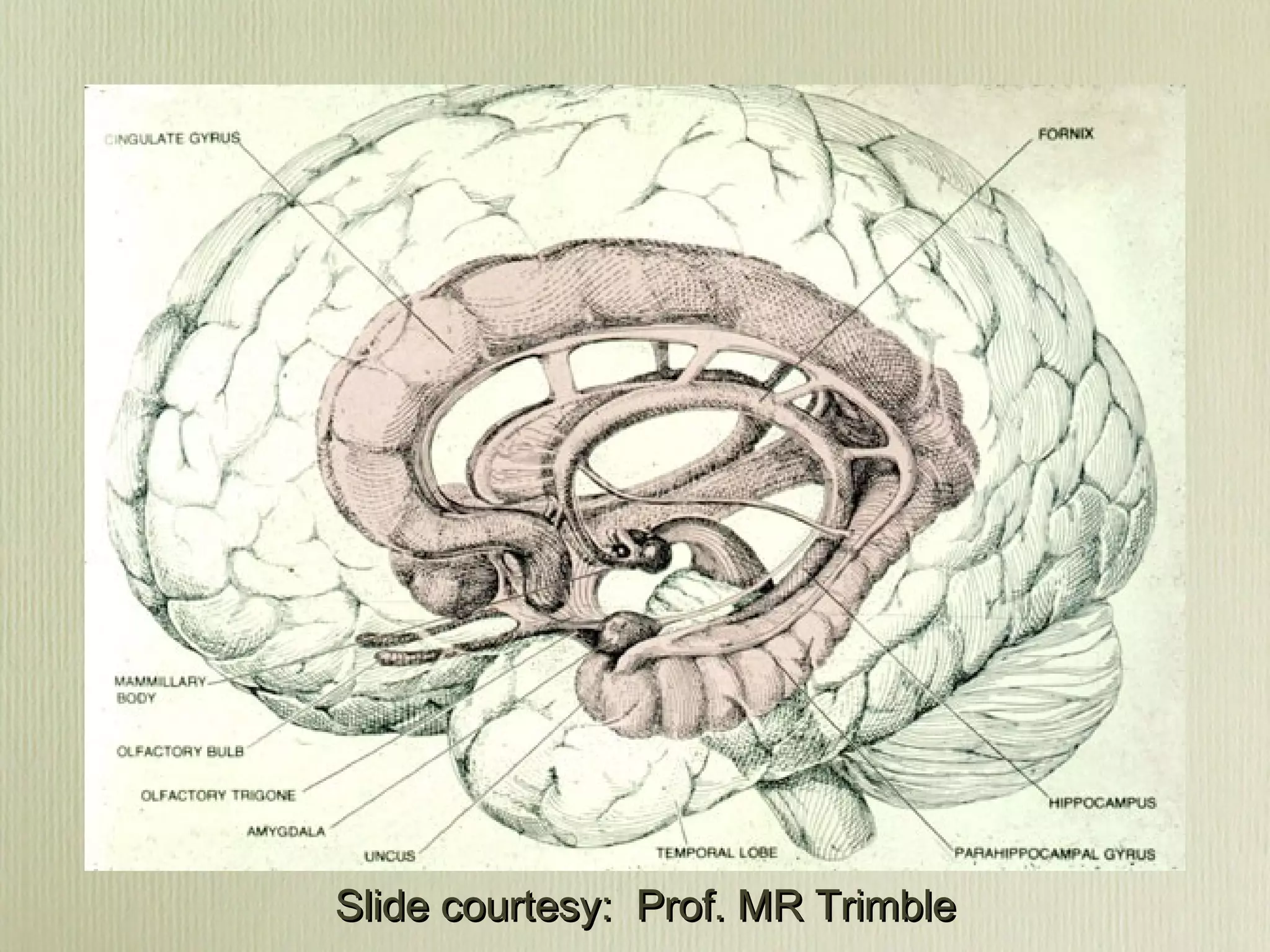 Slide courtesy: Prof. MR TrimbleSlide courtesy: Prof. MR Trimble
 