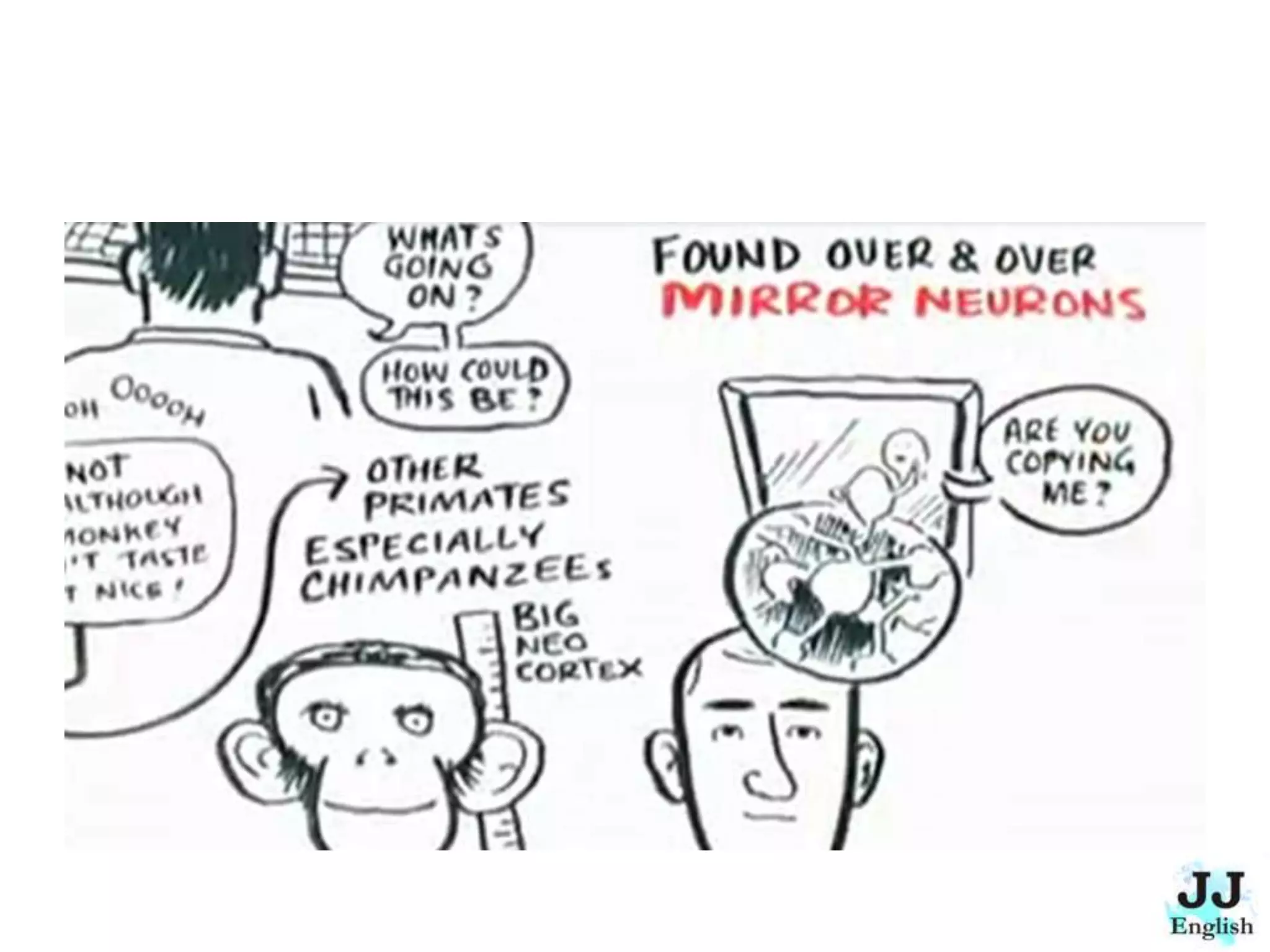 The Empathetic Civilization - Summary and Conversation Lesson