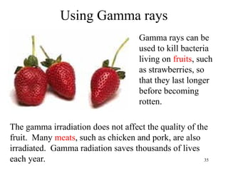 35
Using Gamma rays
Gamma rays can be
used to kill bacteria
living on fruits, such
as strawberries, so
that they last longer
before becoming
rotten.
The gamma irradiation does not affect the quality of the
fruit. Many meats, such as chicken and pork, are also
irradiated. Gamma radiation saves thousands of lives
each year.
 
