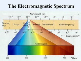 8
The Electromagnetic Spectrum
 