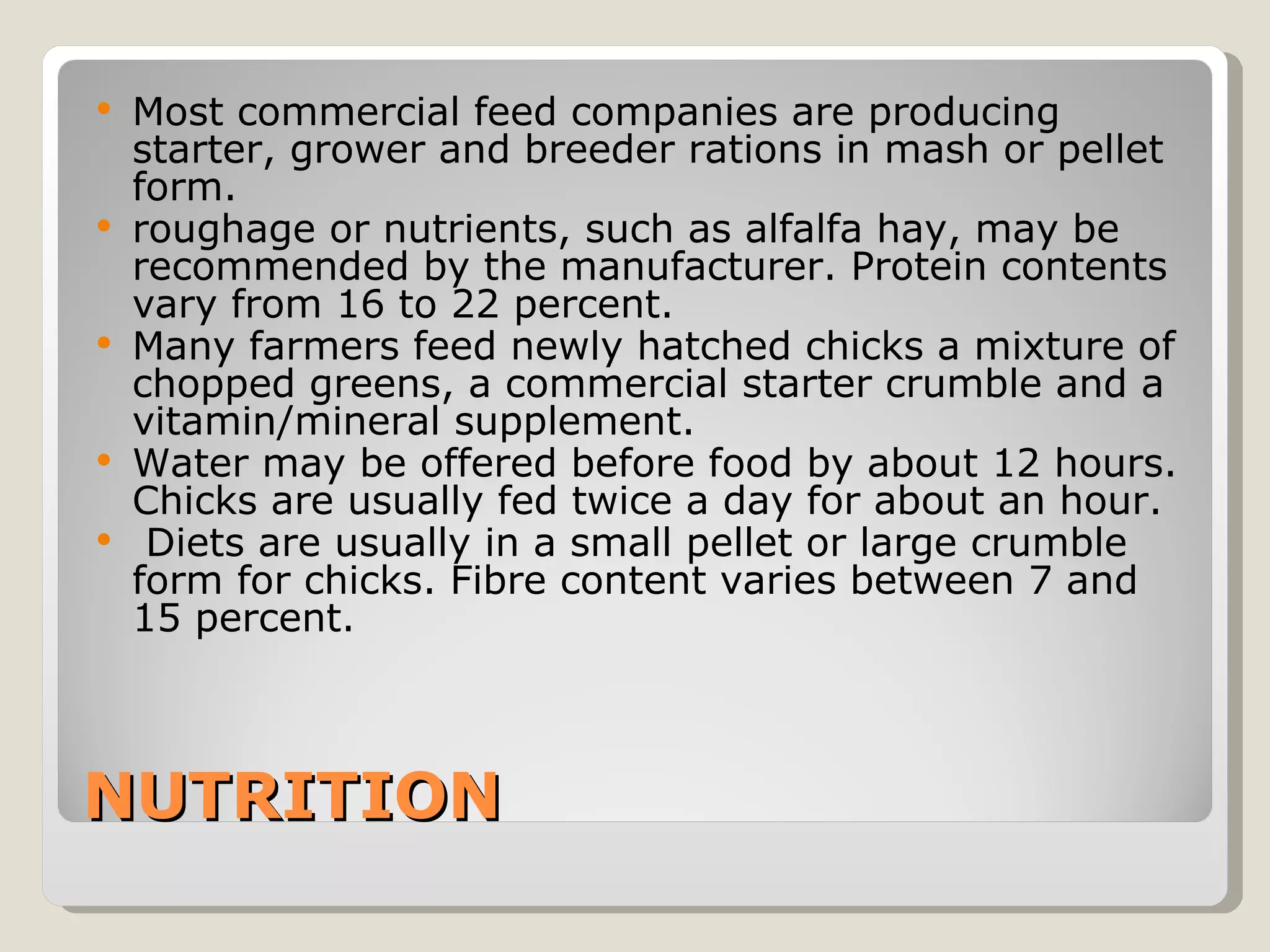 NUTRITION Most commercial feed companies are producing starter, grower and breeder rations in mash or pellet form.  roughage or nutrients, such as alfalfa hay, may be recommended by the manufacturer. Protein contents vary from 16 to 22 percent.  Many farmers feed newly hatched chicks a mixture of chopped greens, a commercial starter crumble and a vitamin/mineral supplement.  Water may be offered before food by about 12 hours. Chicks are usually fed twice a day for about an hour. Diets are usually in a small pellet or large crumble form for chicks. Fibre content varies between 7 and 15 percent.  