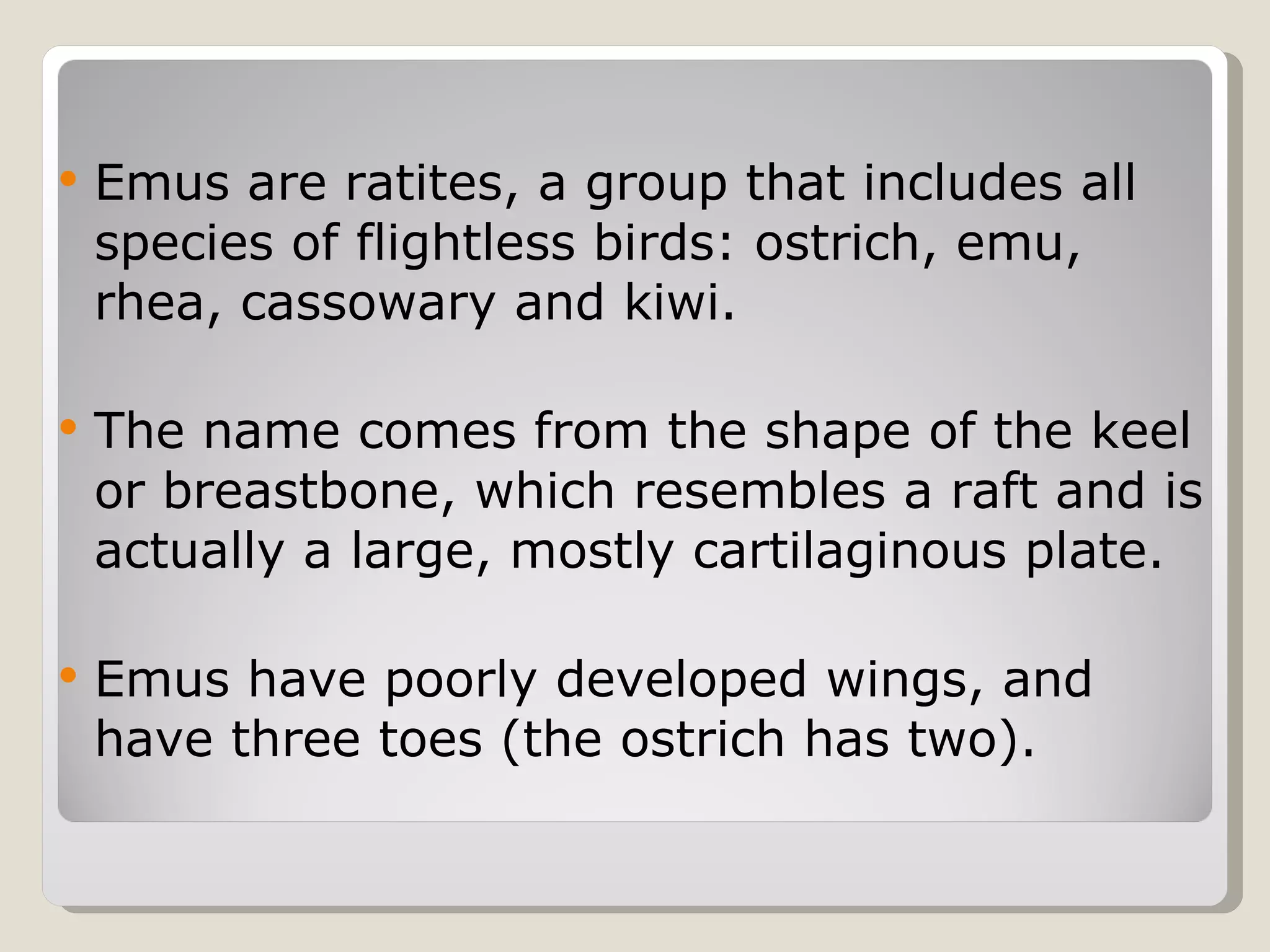 Emus are ratites, a group that includes all species of flightless birds: ostrich, emu, rhea, cassowary and kiwi.  The name comes from the shape of the keel or breastbone, which resembles a raft and is actually a large, mostly cartilaginous plate. Emus have poorly developed wings, and have three toes (the ostrich has two).  