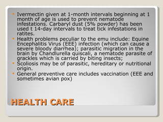 HEALTH CARE Ivermectin given at 1-month intervals beginning at 1 month of age is used to prevent nematode infestations. Carbaryl dust (5% powder) has been used t 14-day intervals to treat tick infestations in ratites.  Health problems peculiar to the emu include: Equine Encephalitis Virus (EEE) infection (which can cause a severe bloody diarrhea); parasitic migration in the brain by Chandlurella quiscali, a nematode parasite of grackles which is carried by biting insects; Scoliosis may be of parasitic, hereditary or nutritional origin.  General preventive care includes vaccination (EEE and sometimes avian pox) 