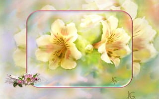 The Enchanted Garden