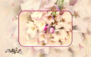 The Enchanted Garden