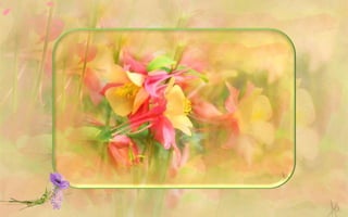 The Enchanted Garden