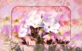 The Enchanted Garden
