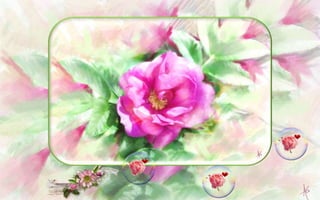 The Enchanted Garden