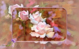The Enchanted Garden