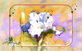 The Enchanted Garden