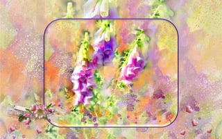 The Enchanted Garden