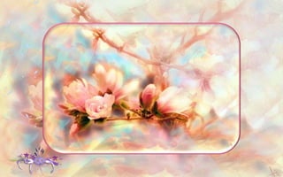 The Enchanted Garden