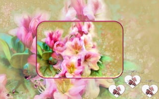 The Enchanted Garden