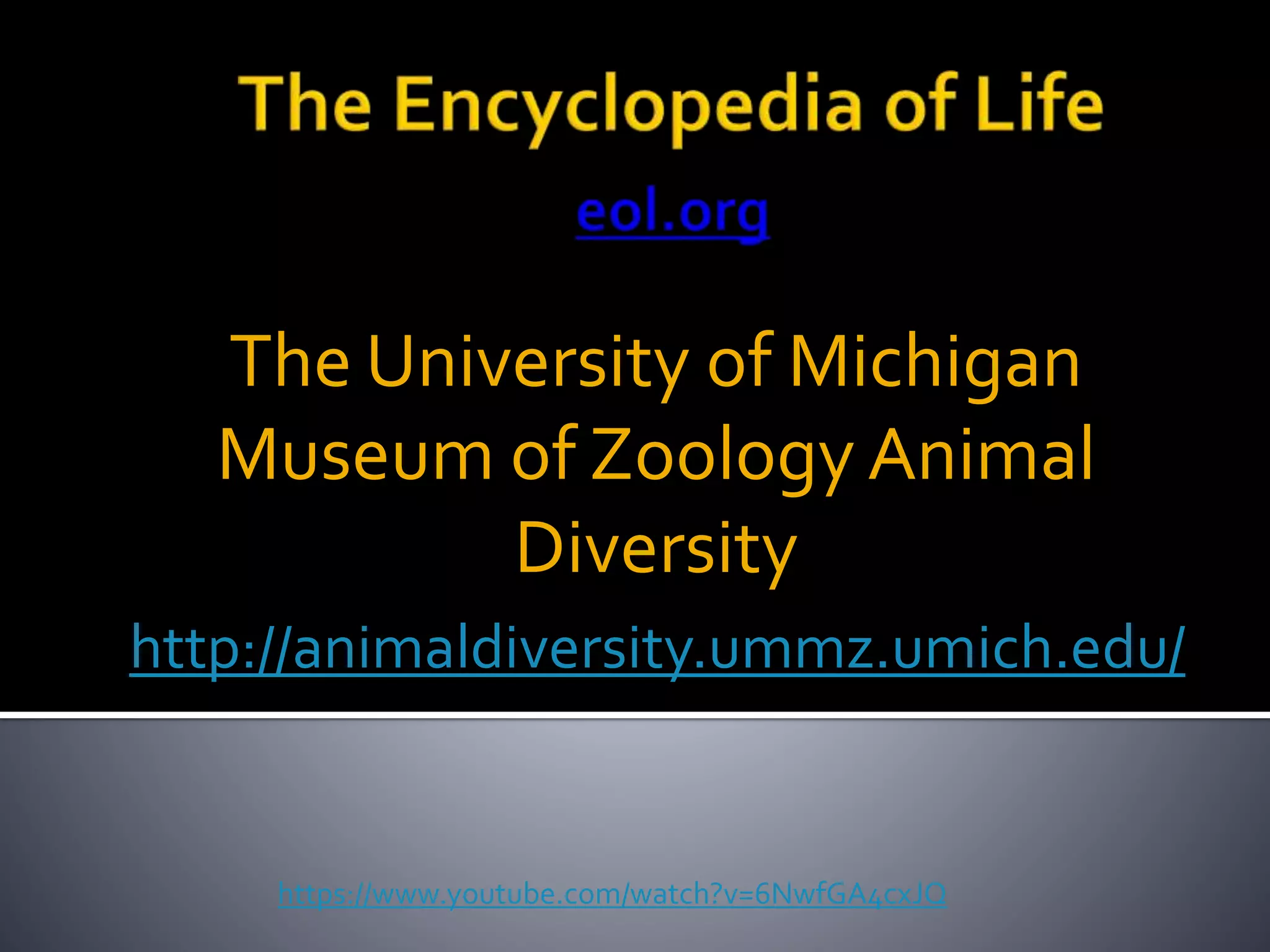 https://www.youtube.com/watch?v=6NwfGA4cxJQ
http://animaldiversity.ummz.umich.edu/
The University of Michigan
Museum of Zoology Animal
Diversity