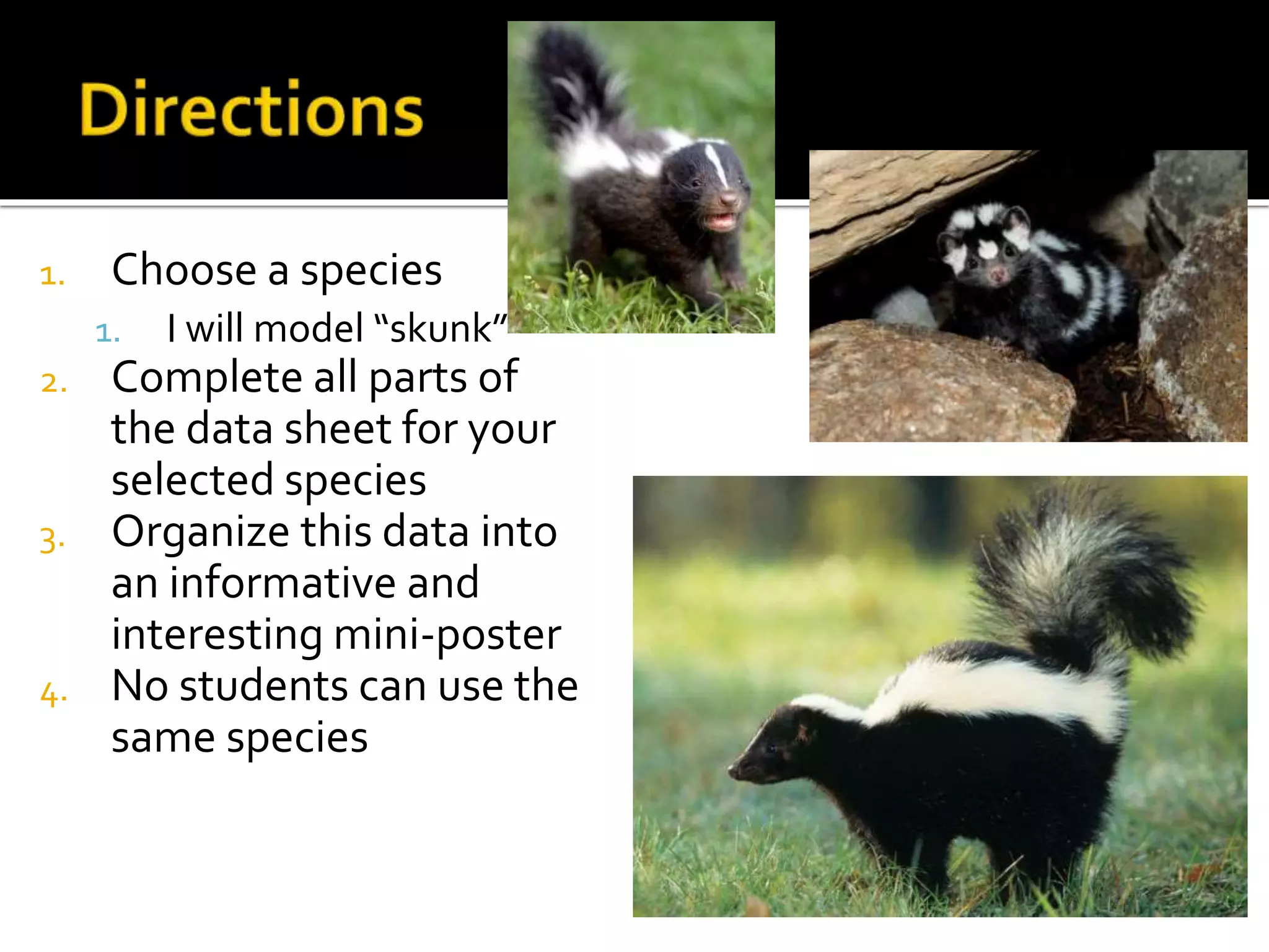 1. Choose a species
1. I will model “skunk”
2. Complete all parts of
the data sheet for your
selected species
3. Organize this data into
an informative and
interesting mini-poster
4. No students can use the
same species