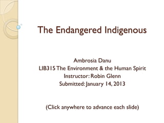 The Endangered Indigenous


              Ambrosia Danu
LIB315 The Environment & the Human Spirit
          Instructor: Robin Glenn
        Submitted: January 14, 2013


  (Click anywhere to advance each slide)
 