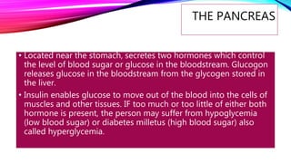 THE PANCREAS
• Located near the stomach, secretes two hormones which control
the level of blood sugar or glucose in the bloodstream. Glucogon
releases glucose in the bloodstream from the glycogen stored in
the liver.
• Insulin enables glucose to move out of the blood into the cells of
muscles and other tissues. IF too much or too little of either both
hormone is present, the person may suffer from hypoglycemia
(low blood sugar) or diabetes milletus (high blood sugar) also
called hyperglycemia.
 