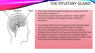 THE PITUITARY GLAND
• This major endocrine gland is partly an outgrowth of the
brain and is joined to it.
• The pituitary gland has been called the “master gland”
because it produces the largest number of different
hormones.
• Two independently functioning parts of the pituitary gland
are the posterior pituitary and the anterior pituitary.
• Hormones released by the former, known as oxytocin,
influence the contraction of the uterus during child birth and
the excessive ejection of milk from the mammary glands.
• In addition, vasopressin regulates the amount of water in the
body cells thus indirectly controls blood pressure.
 