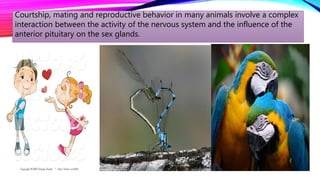 Courtship, mating and reproductive behavior in many animals involve a complex
interaction between the activity of the nervous system and the influence of the
anterior pituitary on the sex glands.
 