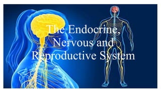 The Endocrine,
Nervous and
Reproductive System
 
