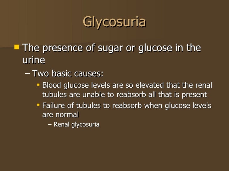 The Endocrine System