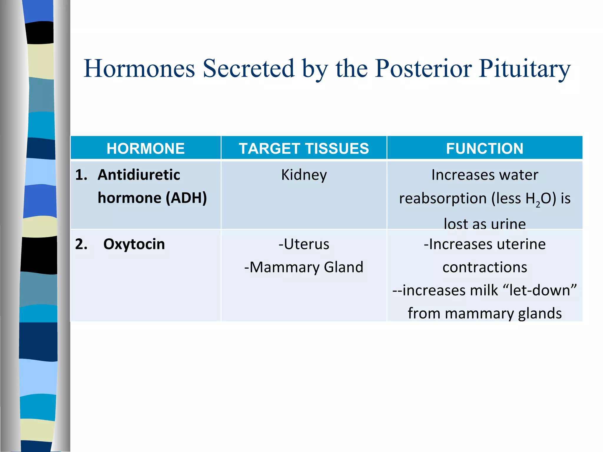 Hormones Secreted by the Posterior Pituitary HORMONE TARGET TISSUES FUNCTION Antidiuretic hormone (ADH) Kidney Increases water reabsorption (less H 2 O) is lost as urine 2.  Oxytocin -Uterus -Mammary Gland -Increases uterine contractions ­-increases milk “let-down” from mammary glands 