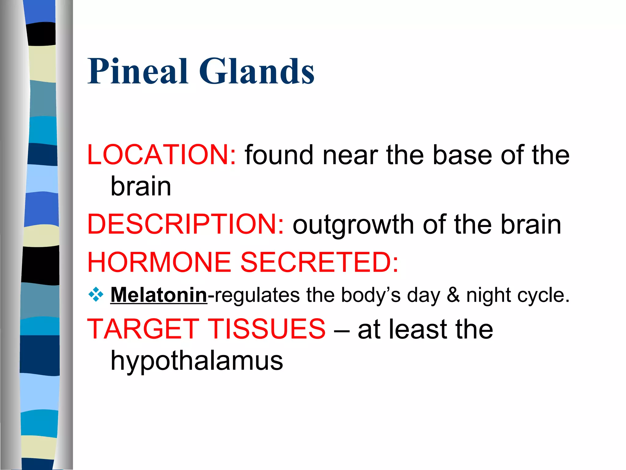 Pineal Glands LOCATION:  found near the base of the brain DESCRIPTION:  outgrowth of the brain HORMONE SECRETED:  Melatonin -regulates the body’s day & night cycle. TARGET TISSUES  – at least the hypothalamus 