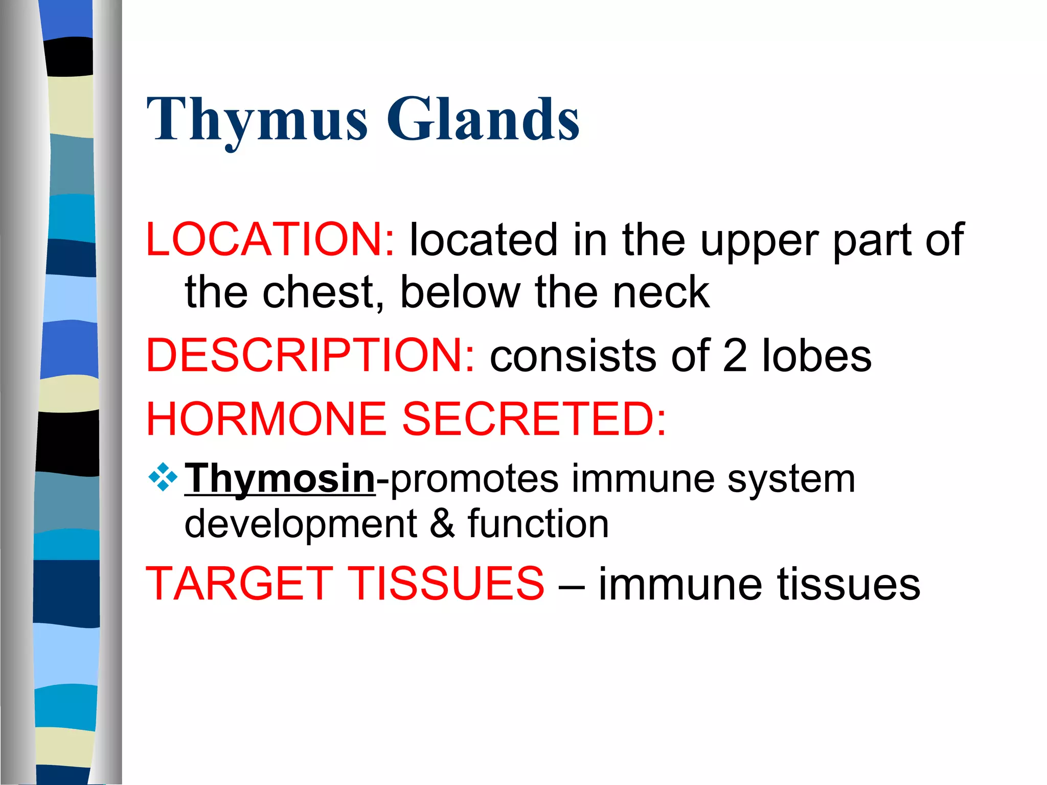 Thymus Glands LOCATION:  located in the upper part of the chest, below the neck DESCRIPTION:  consists of 2 lobes HORMONE SECRETED:  Thymosin -promotes immune system development & function TARGET TISSUES  – immune tissues 