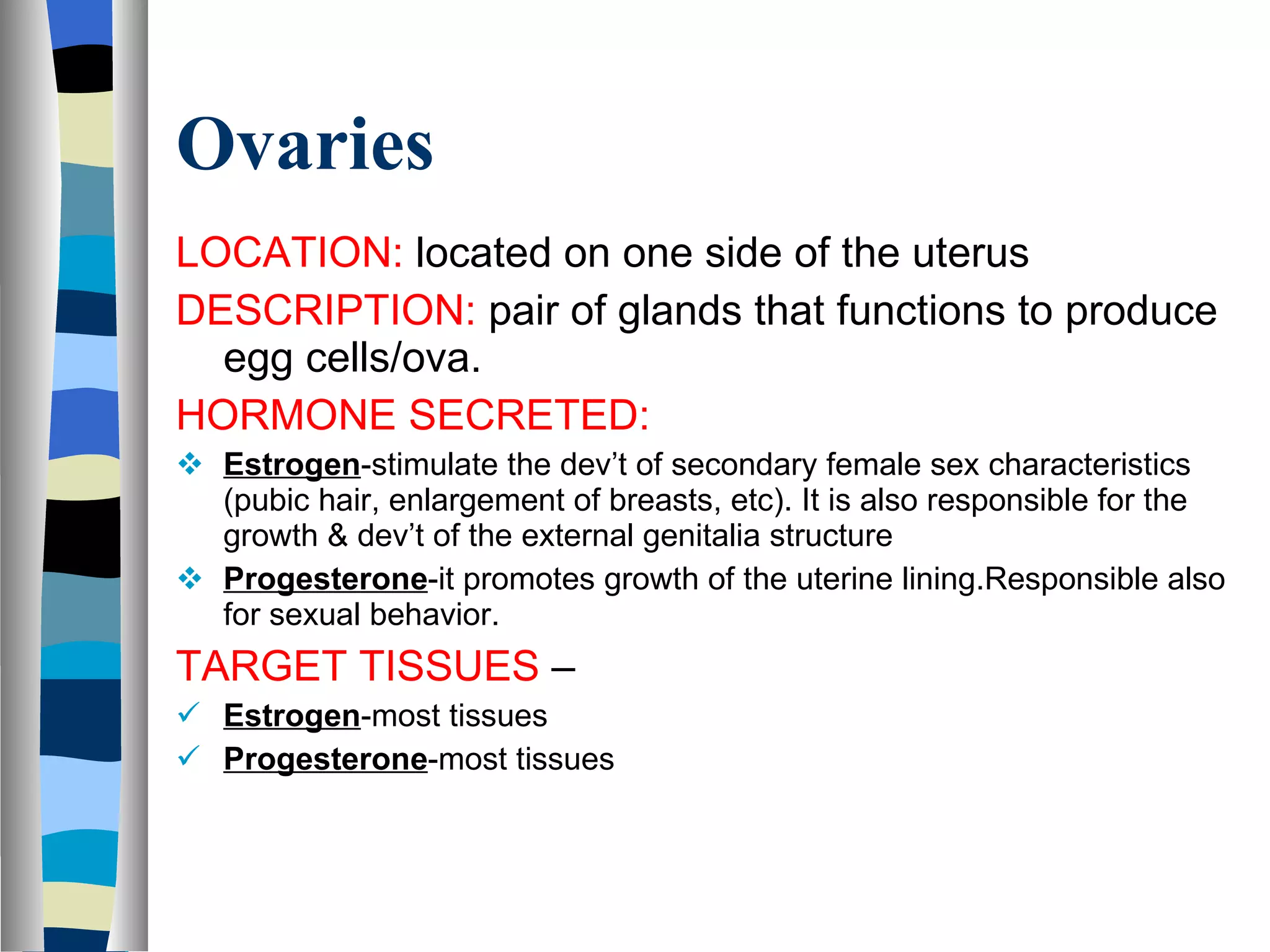 Ovaries LOCATION:  located on one side of the uterus DESCRIPTION:  pair of glands that functions to produce egg cells/ova. HORMONE SECRETED:  Estrogen -stimulate the dev’t of secondary female sex characteristics (pubic hair, enlargement of breasts, etc). It is also responsible for the growth & dev’t of the external genitalia structure Progesterone -it promotes growth of the uterine lining.Responsible also for sexual behavior. TARGET TISSUES  –  Estrogen -most tissues Progesterone -most tissues 