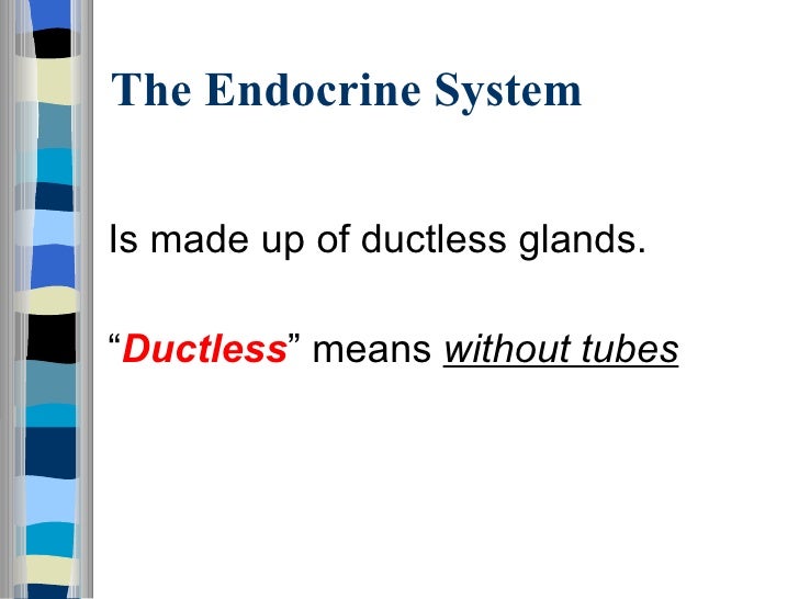 The endocrine system